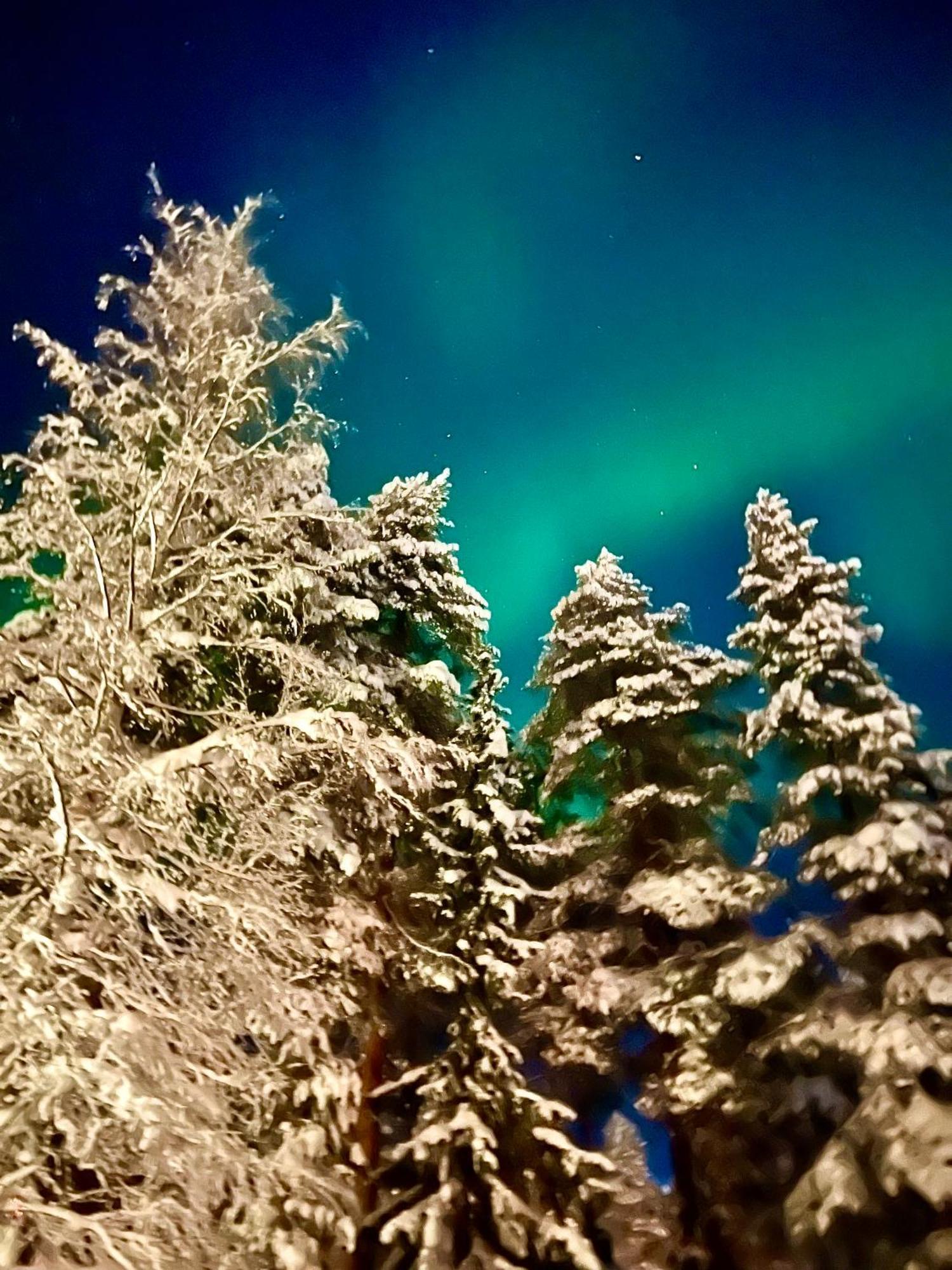 Villa Saarua By The Slopes Ski In, Family & Bike Park, Hike Trails, National Park, Wifi - Lapland Villas 鲁卡 外观 照片
