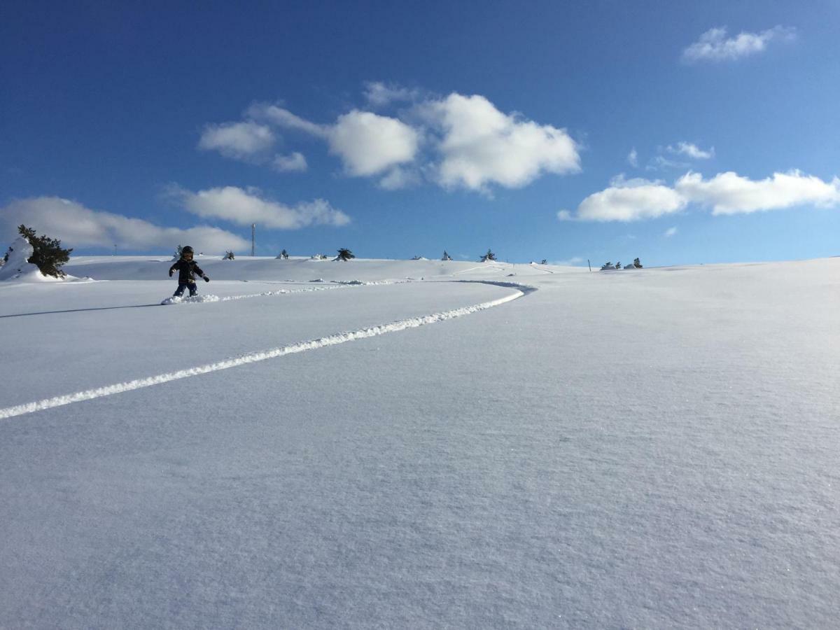 Villa Saarua By The Slopes Ski In, Family & Bike Park, Hike Trails, National Park, Wifi - Lapland Villas 鲁卡 外观 照片