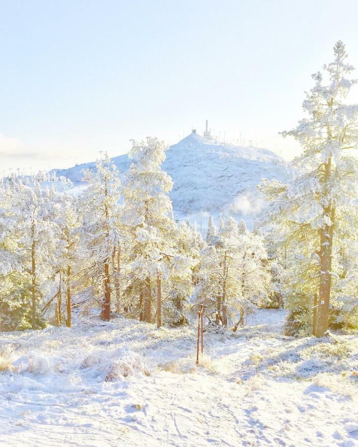 Villa Saarua By The Slopes Ski In, Family & Bike Park, Hike Trails, National Park, Wifi - Lapland Villas 鲁卡 外观 照片